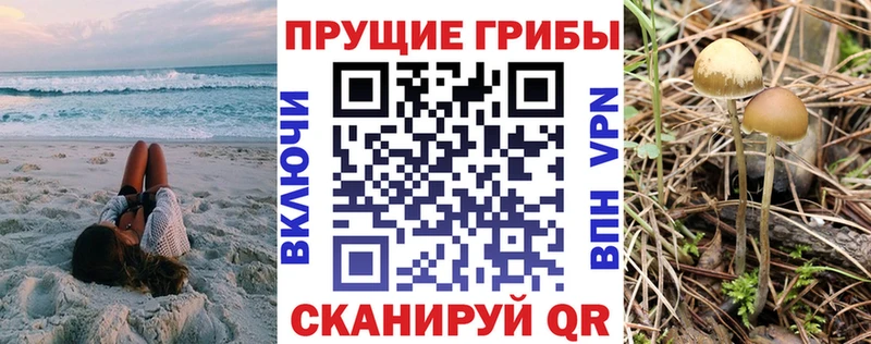 omg рабочий сайт  Лабытнанги  Галлюциногенные грибы MAGIC MUSHROOMS 